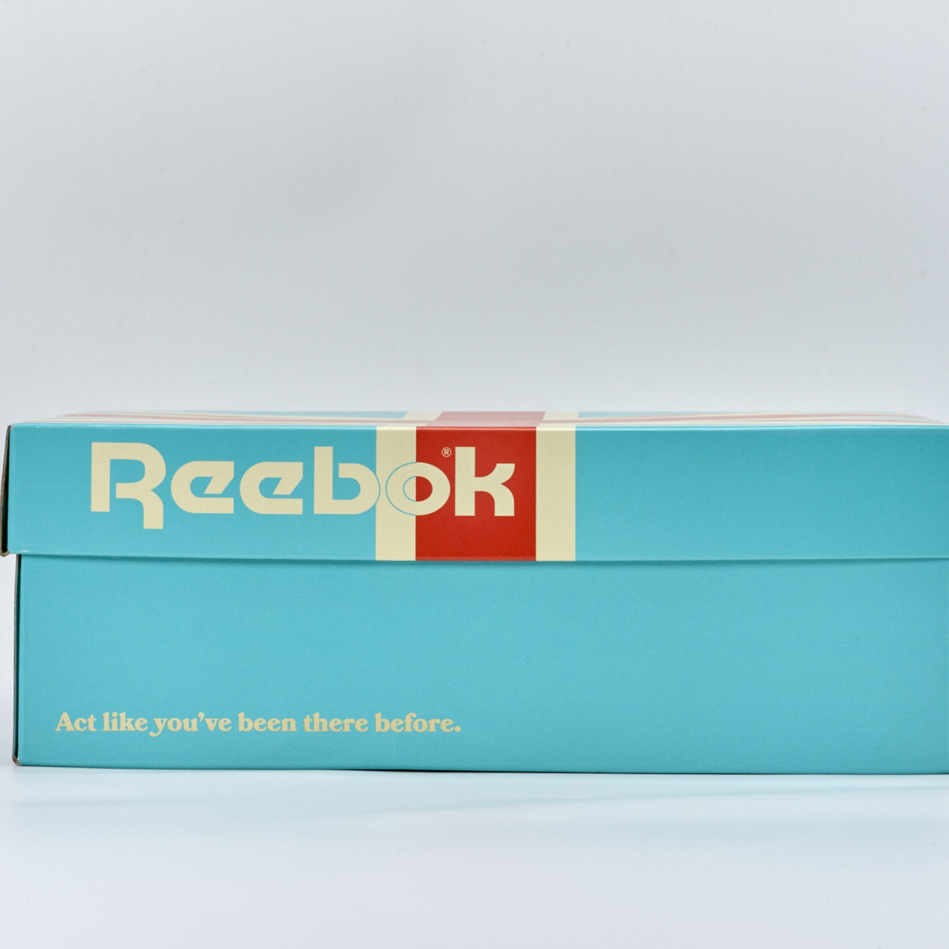 Reebok Beatnik Moc x Cam Hicks 