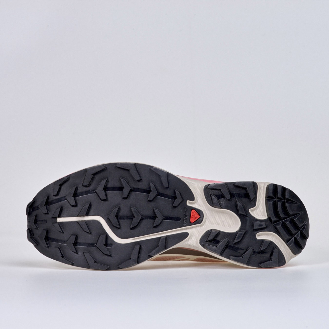 Salomon XT-6