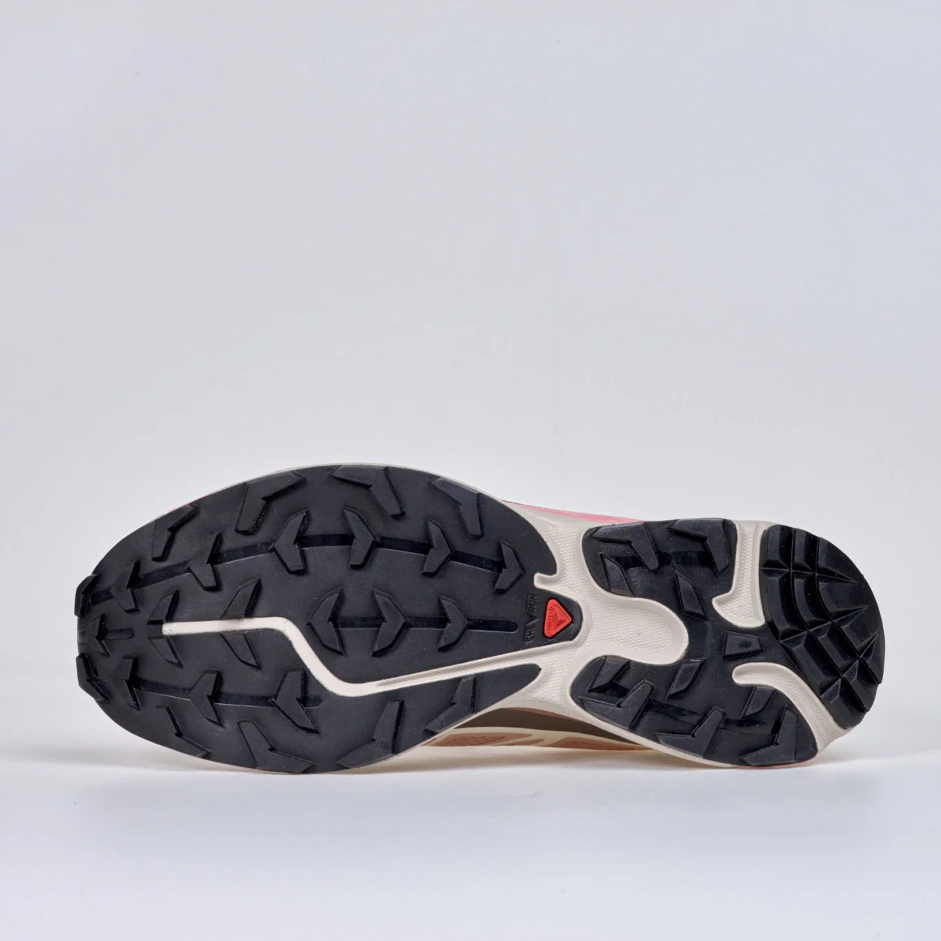 Salomon XT-6