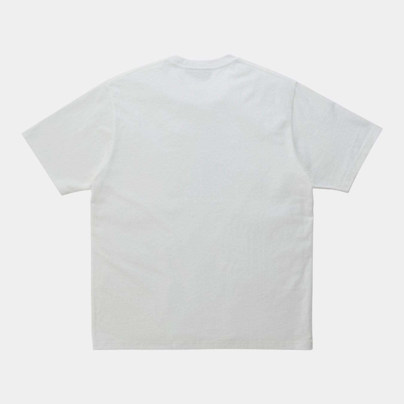 Gramicci Stonemasters Tee