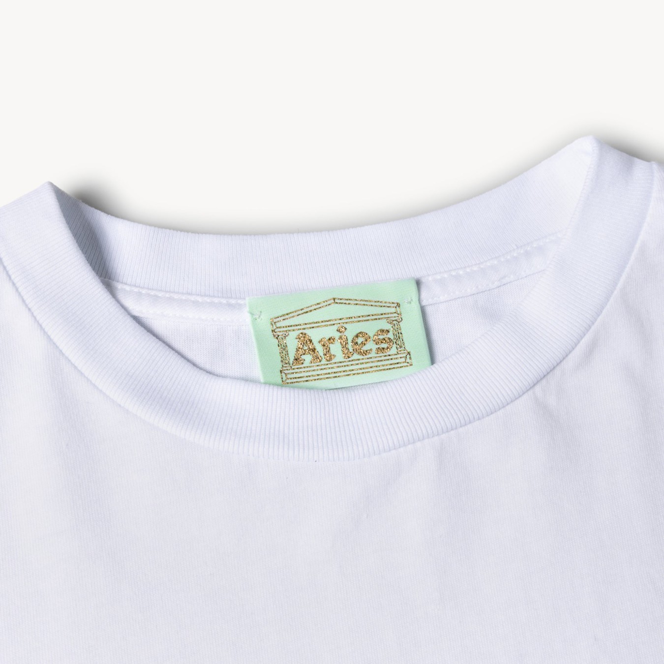 Aries No Problemo Tee