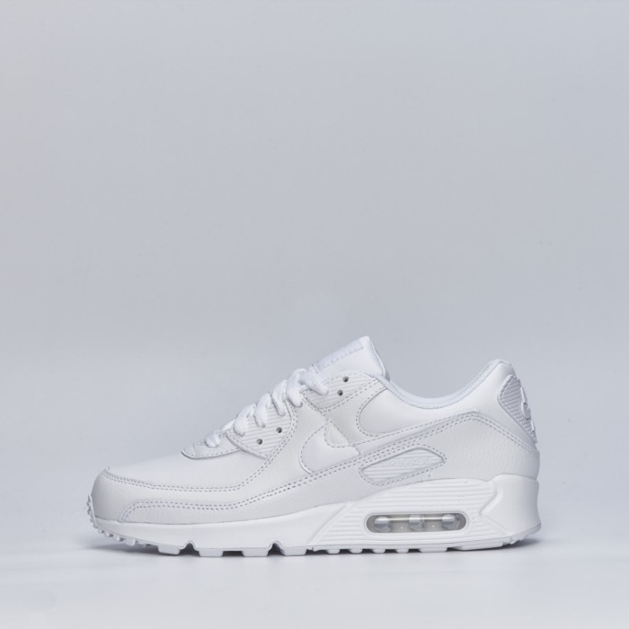 Nike Air Max 90 LTR
