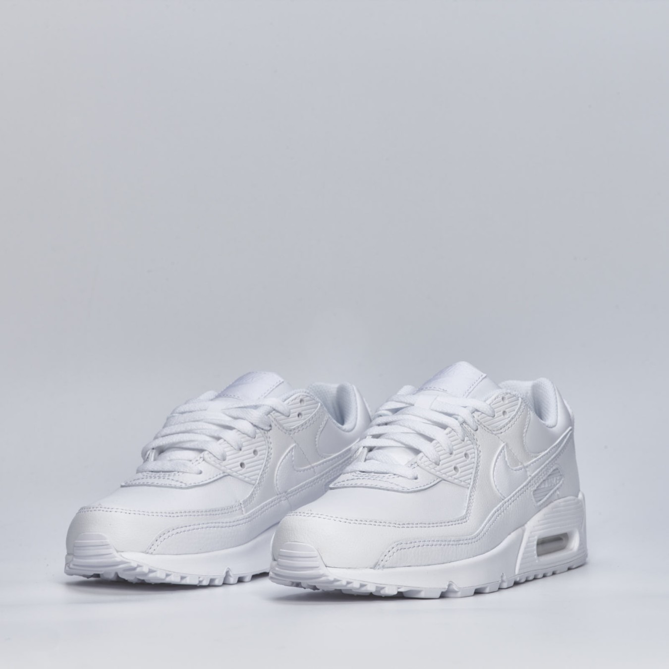 Nike Air Max 90 LTR