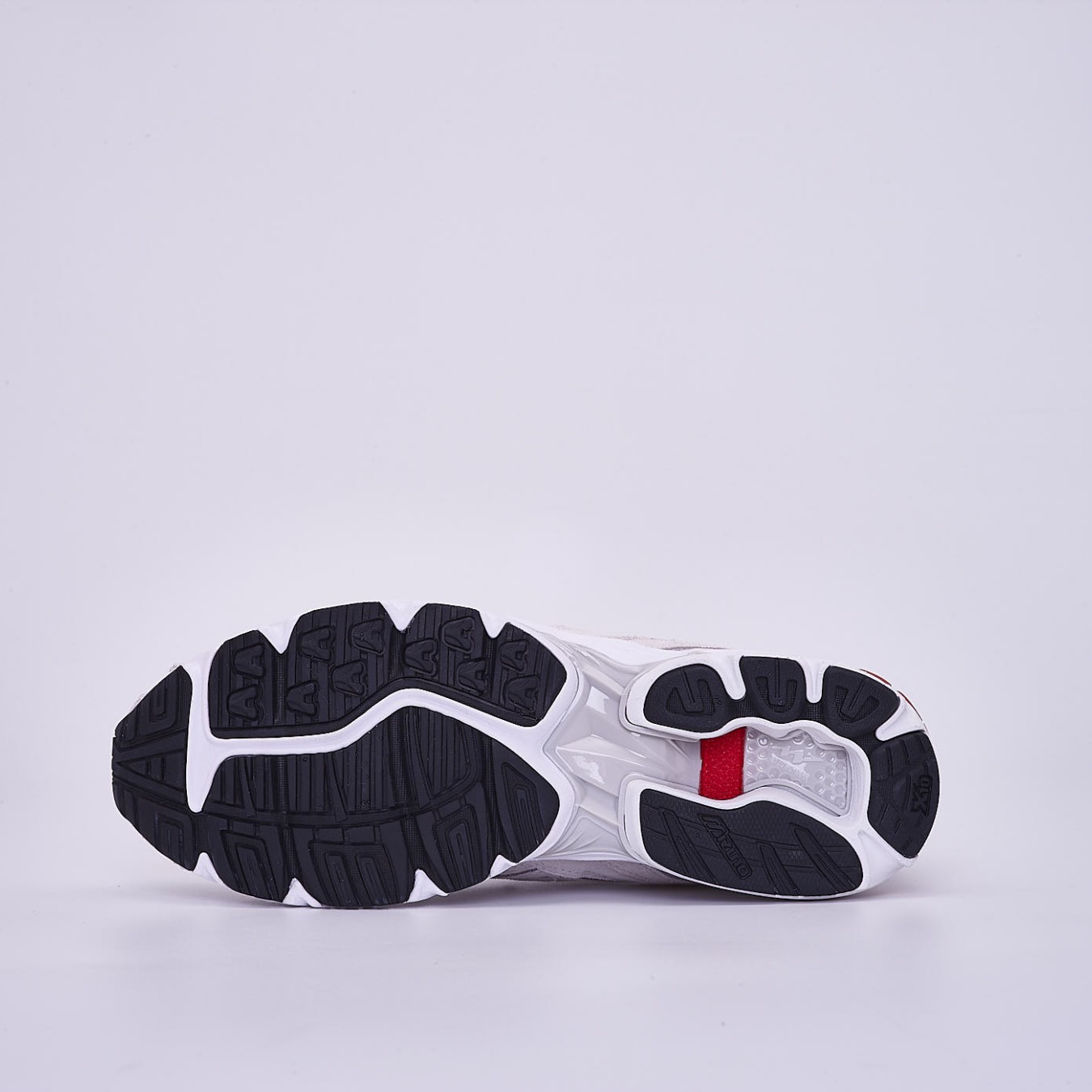 Mizuno Wave Rider 10