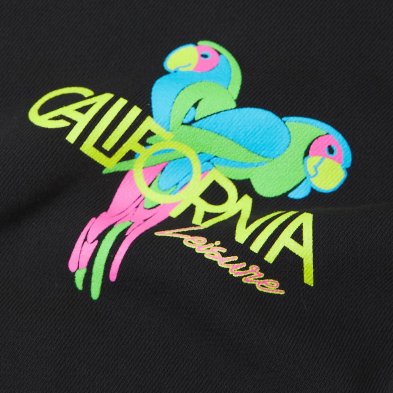 Pasadena Leisure Club Parrots Hoodie