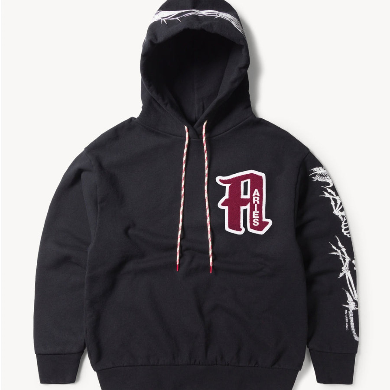 Aries Nothing Matters Embroidered Hoodie